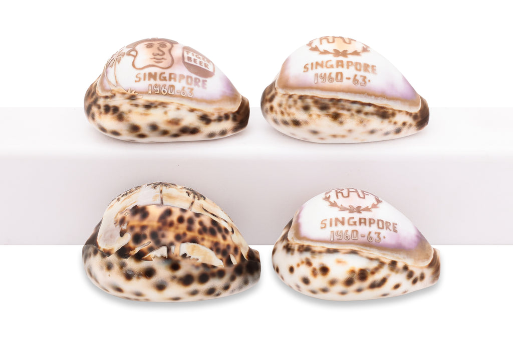 A GROUP OF FOUR CARVED COWRIE SHELLS, SINGAPORE 1960-63