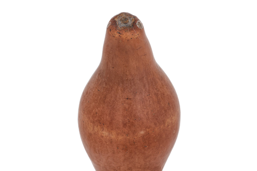 A LARGE DOUBLE GOURD
