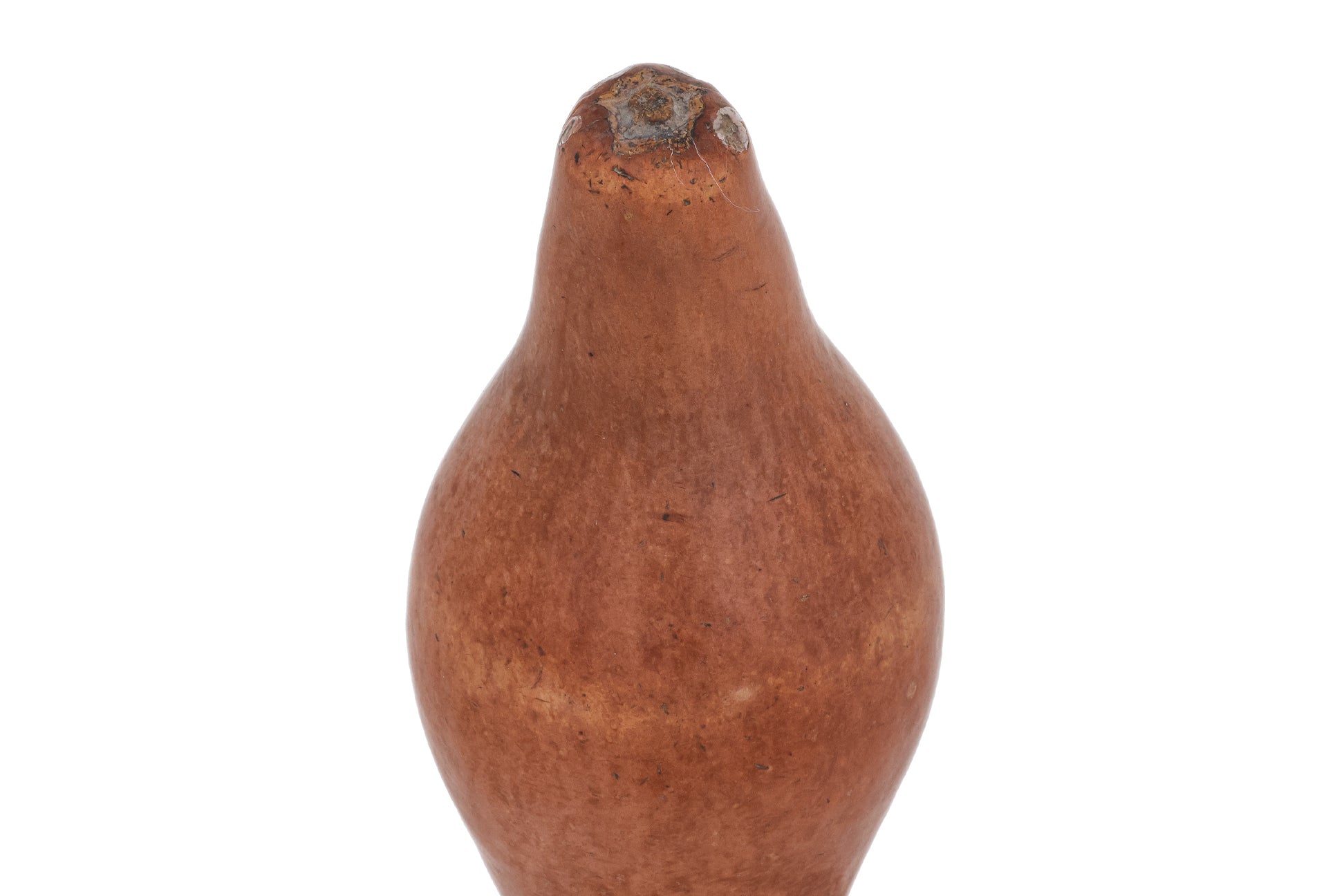 A LARGE DOUBLE GOURD