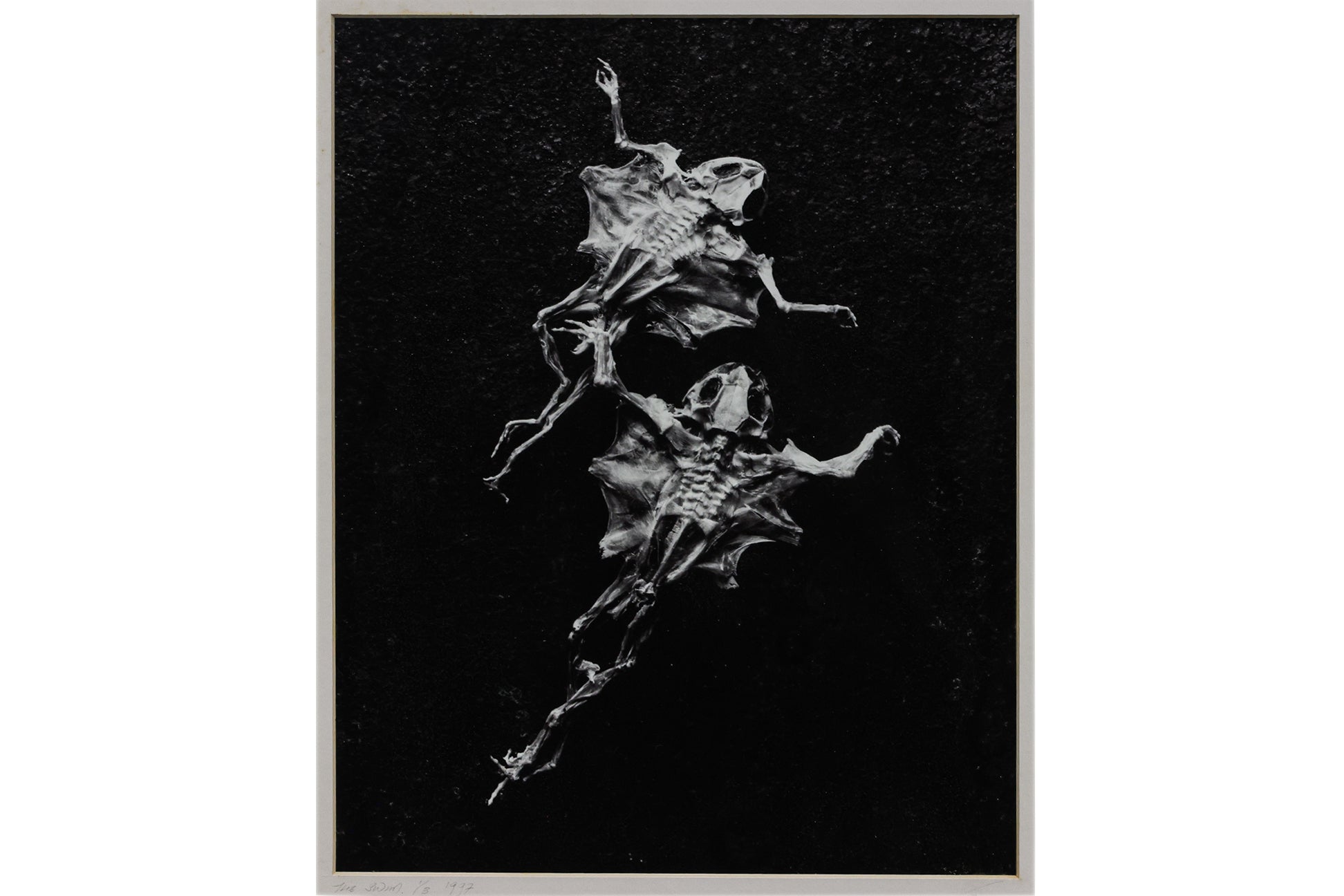 TWO FRAMED PHOTOGRAPHIC PRINTS BY KEN SEET