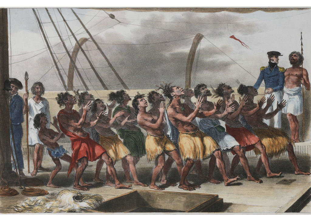 A GROUP OF FOUR 19TH CENTURY LITHOGRAPHS OF NEW ZEALAND