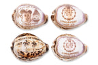A GROUP OF FOUR CARVED COWRIE SHELLS, SINGAPORE 1960-63