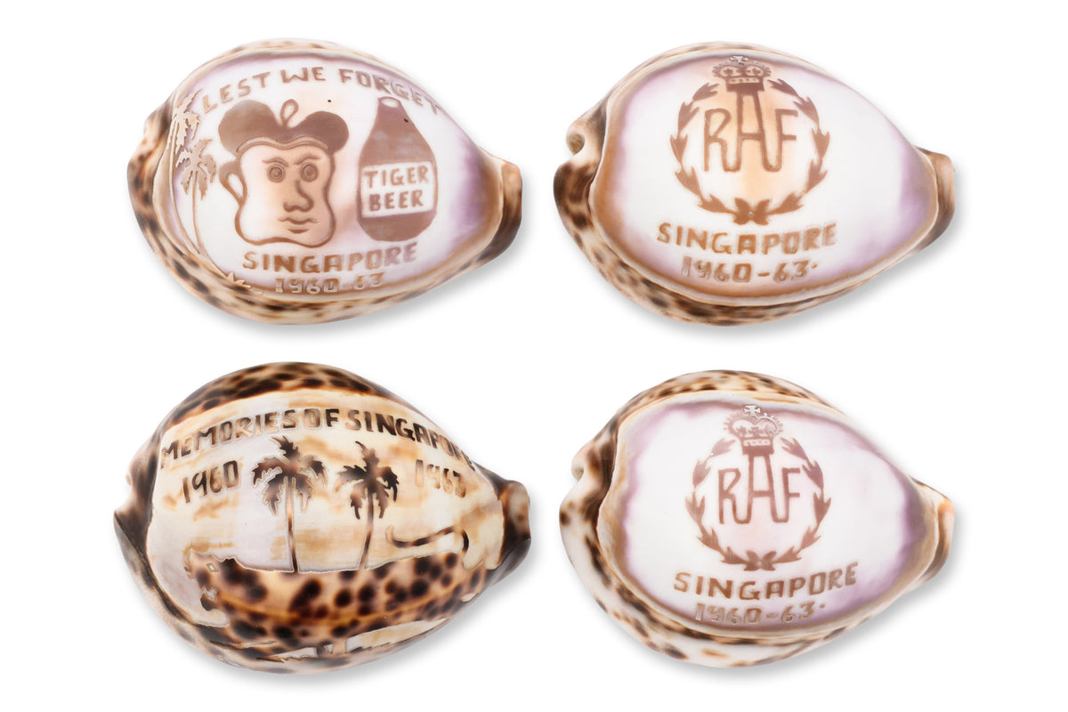 A GROUP OF FOUR CARVED COWRIE SHELLS, SINGAPORE 1960-63
