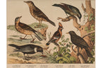 A GROUP OF SIX STUDIES OF ANIMALS, JAKOB FERDINAND SCHREIBER, C. 1886