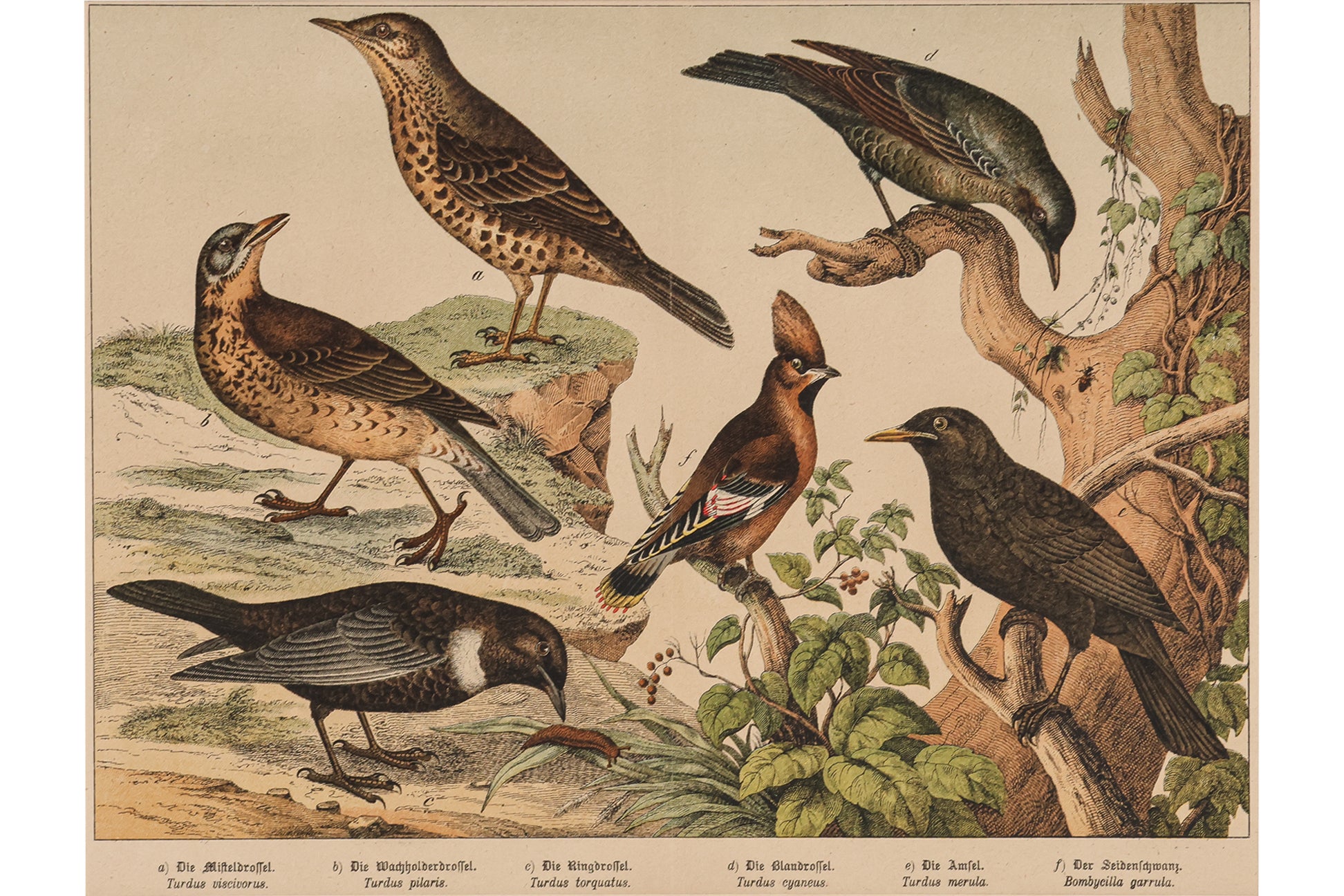 A GROUP OF SIX STUDIES OF ANIMALS, JAKOB FERDINAND SCHREIBER, C. 1886