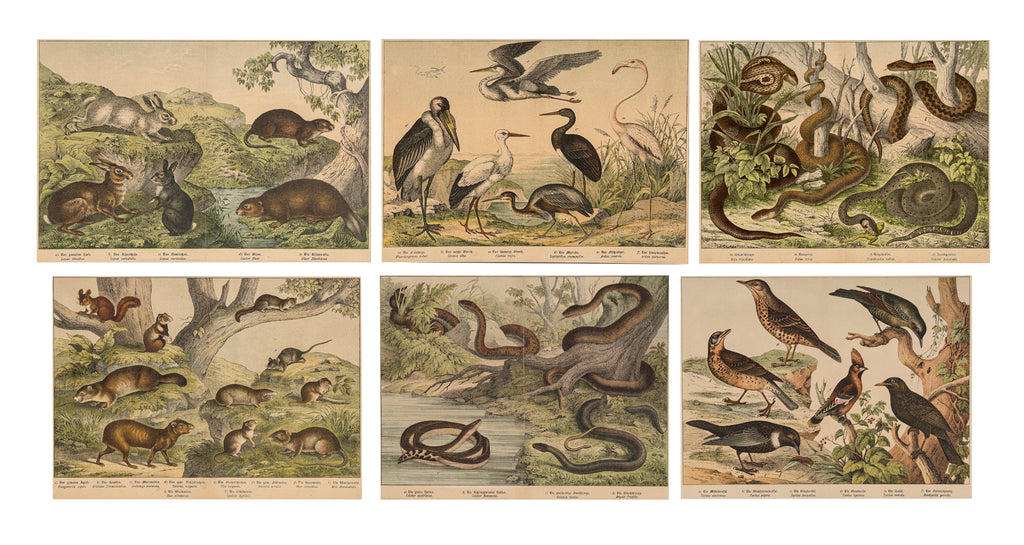 A GROUP OF SIX STUDIES OF ANIMALS, JAKOB FERDINAND SCHREIBER, C. 1886