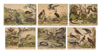 A GROUP OF SIX STUDIES OF ANIMALS, JAKOB FERDINAND SCHREIBER, C. 1886