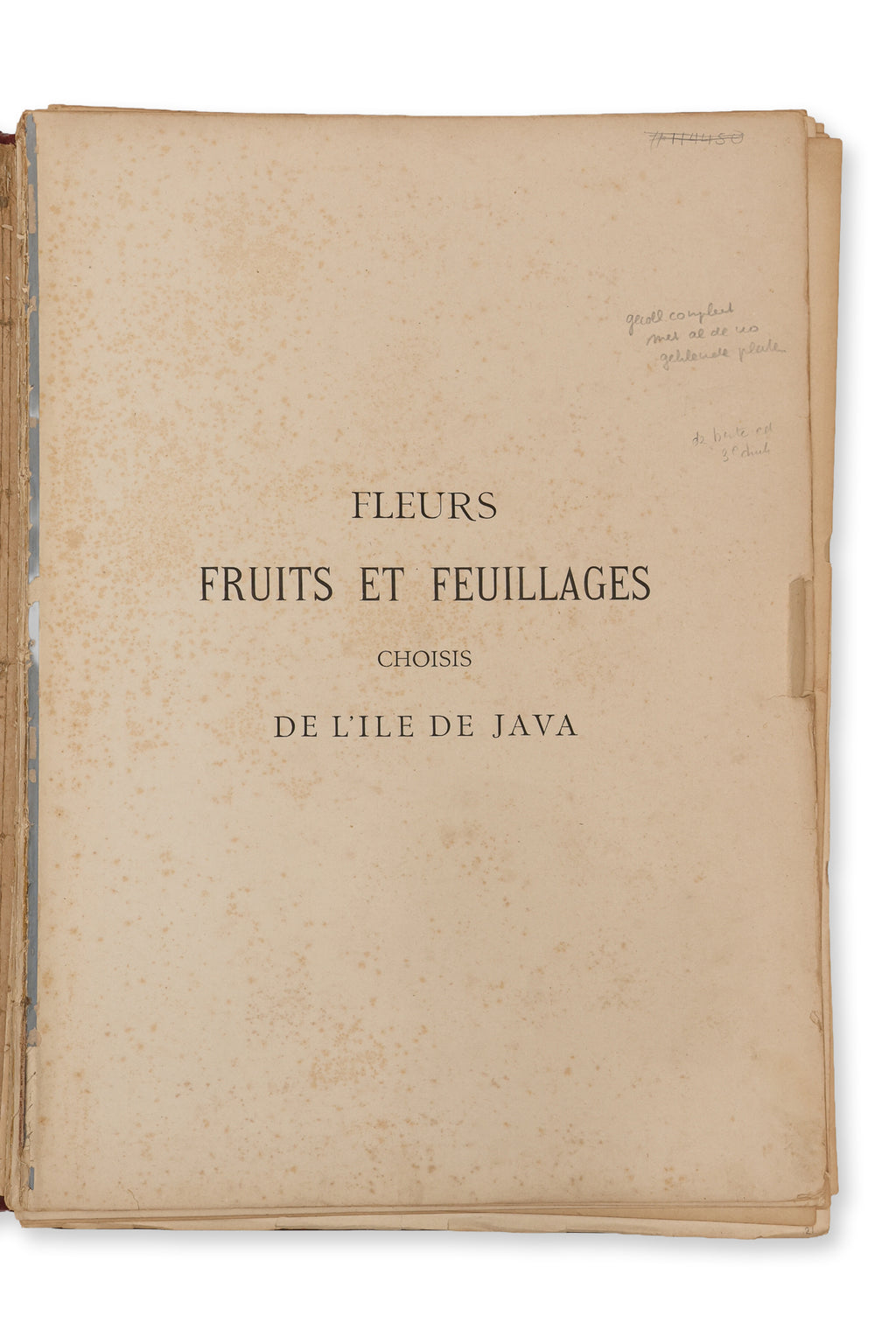FLEURS, FRUITS ET FEUILLAGES CHOISIS DE L'ILE DE JAVA, BERTHE HOOLA VAN NOOTEN, C. 1880