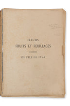 FLEURS, FRUITS ET FEUILLAGES CHOISIS DE L'ILE DE JAVA, BERTHE HOOLA VAN NOOTEN, C. 1880