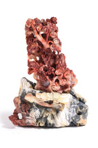 A SHOUSHAN STONE MODEL OF LUCKY TOADS, LINGZHI, AND PINE TREES