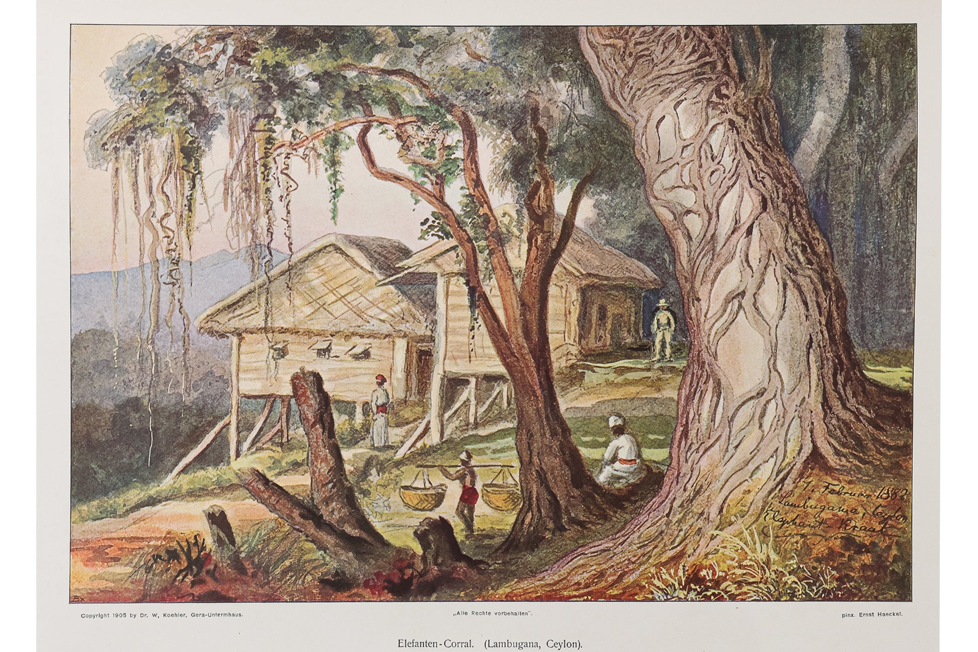 ERNST HAECKELS WANDERBILDER. NACH EIGENEN AQUARELLEN UND OLGEMALDEN, 1905