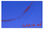 "WAH" - UNATTRIBUTED (XX/XXI) 'HAPPINESS VII 2000'