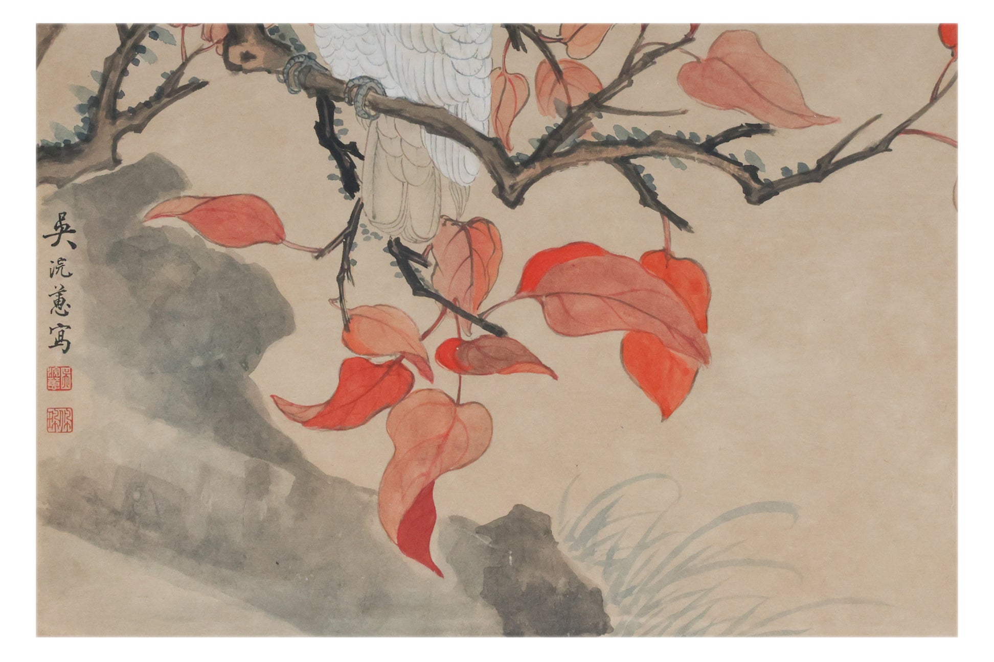 WU HUANHUI (CHINESE, B.1931) - STUDY OF A COCKATOO
