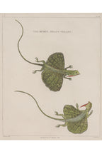A GROUP OF FOUR STUDIES OF ANIMALS, WILLIAN MARSDEN, 1813