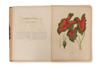 FLEURS, FRUITS ET FEUILLAGES CHOISIS DE L'ILE DE JAVA, BERTHE HOOLA VAN NOOTEN, C. 1880
