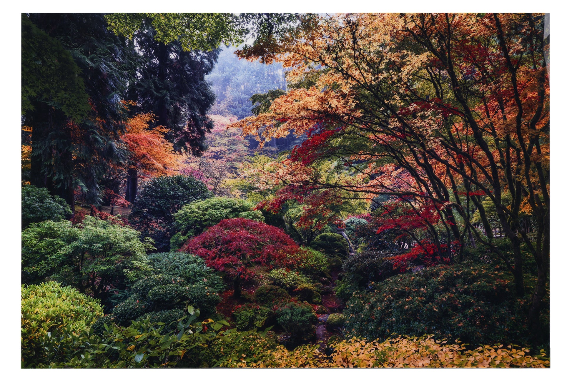 ROMAN JOHNSTON (AMERICAN, XX/XXI) GENTLE ARCHES, 2014