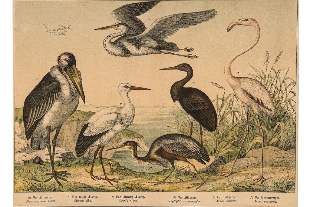 A GROUP OF SIX STUDIES OF ANIMALS, JAKOB FERDINAND SCHREIBER, C. 1886