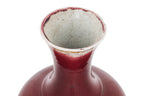 A SANG DE BOEUF GLAZED PORCELAIN VASE