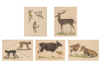 A GROUP OF FIVE STUDIES OF ANIMALS, WILLEM JOHANNES GORDON, 1839-47