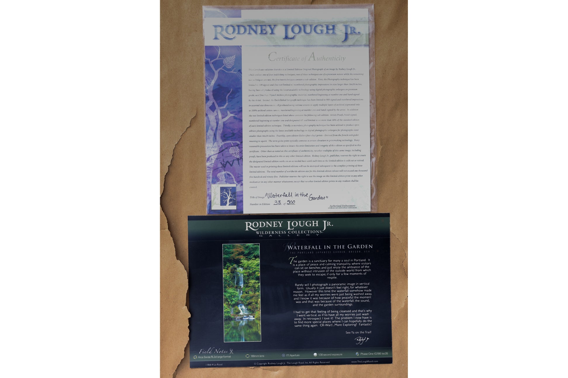 RODNEY LOUGH JR (AMERICAN, B. 1960) WATERFALL IN THE GARDEN