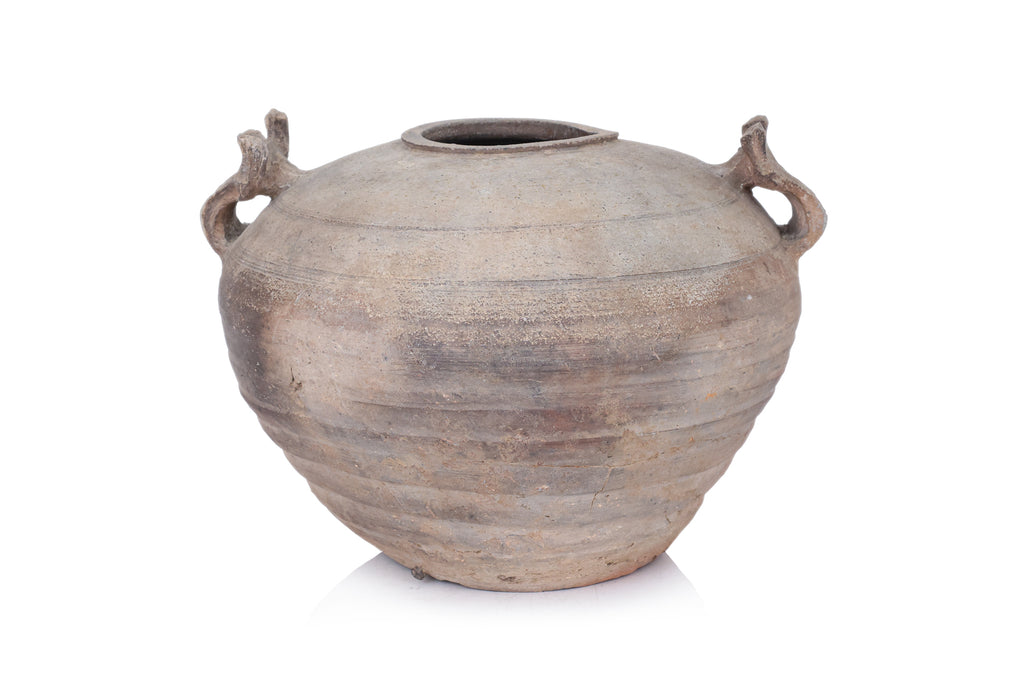 A TWIN HANDLED EARTHENWARE JAR