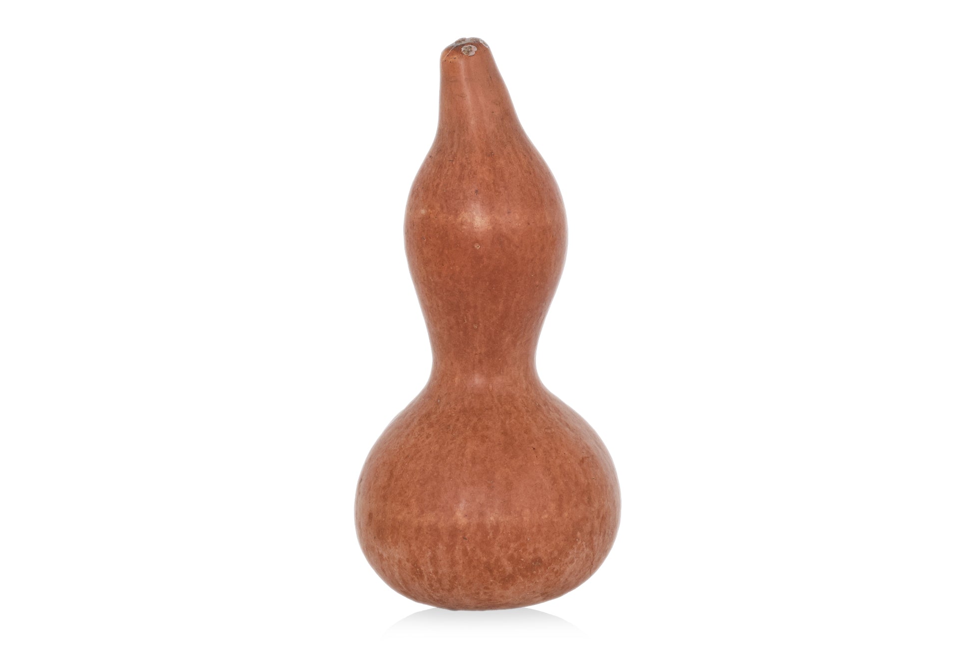 A LARGE DOUBLE GOURD