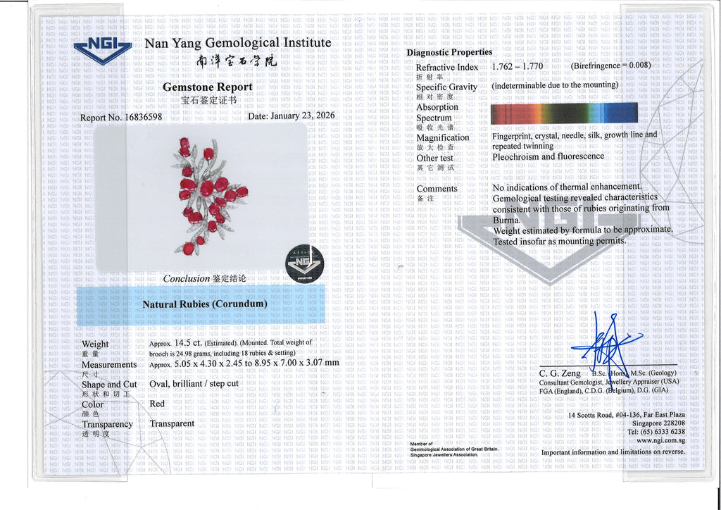 A UNHEATED BURMESE RUBY AND DIAMOND BROOCH