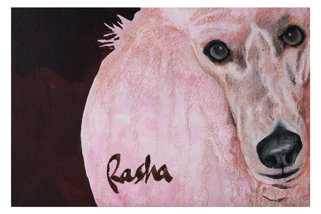 RASHA ELEYAN (PALESTINIAN, B.1978)