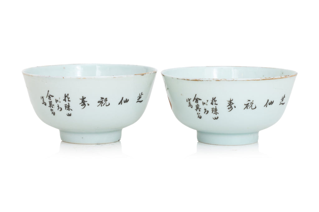 A PAIR OF QIANJIANG STYLE FAMILLE ROSE BOWLS