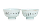 A PAIR OF QIANJIANG STYLE FAMILLE ROSE BOWLS