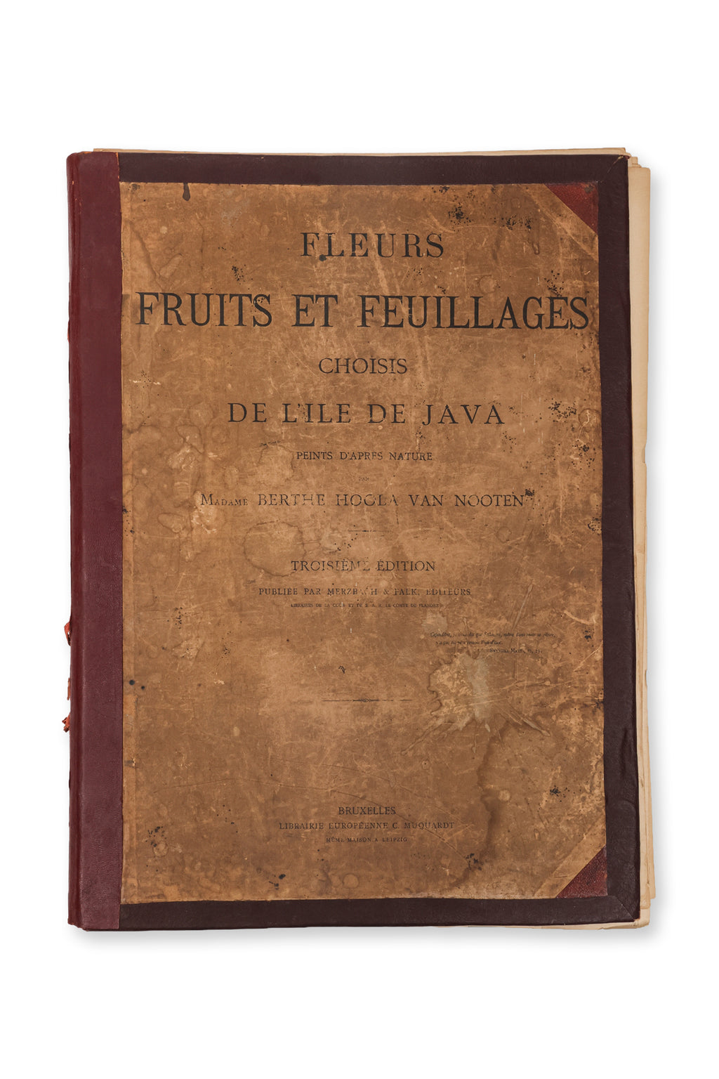 FLEURS, FRUITS ET FEUILLAGES CHOISIS DE L'ILE DE JAVA, BERTHE HOOLA VAN NOOTEN, C. 1880