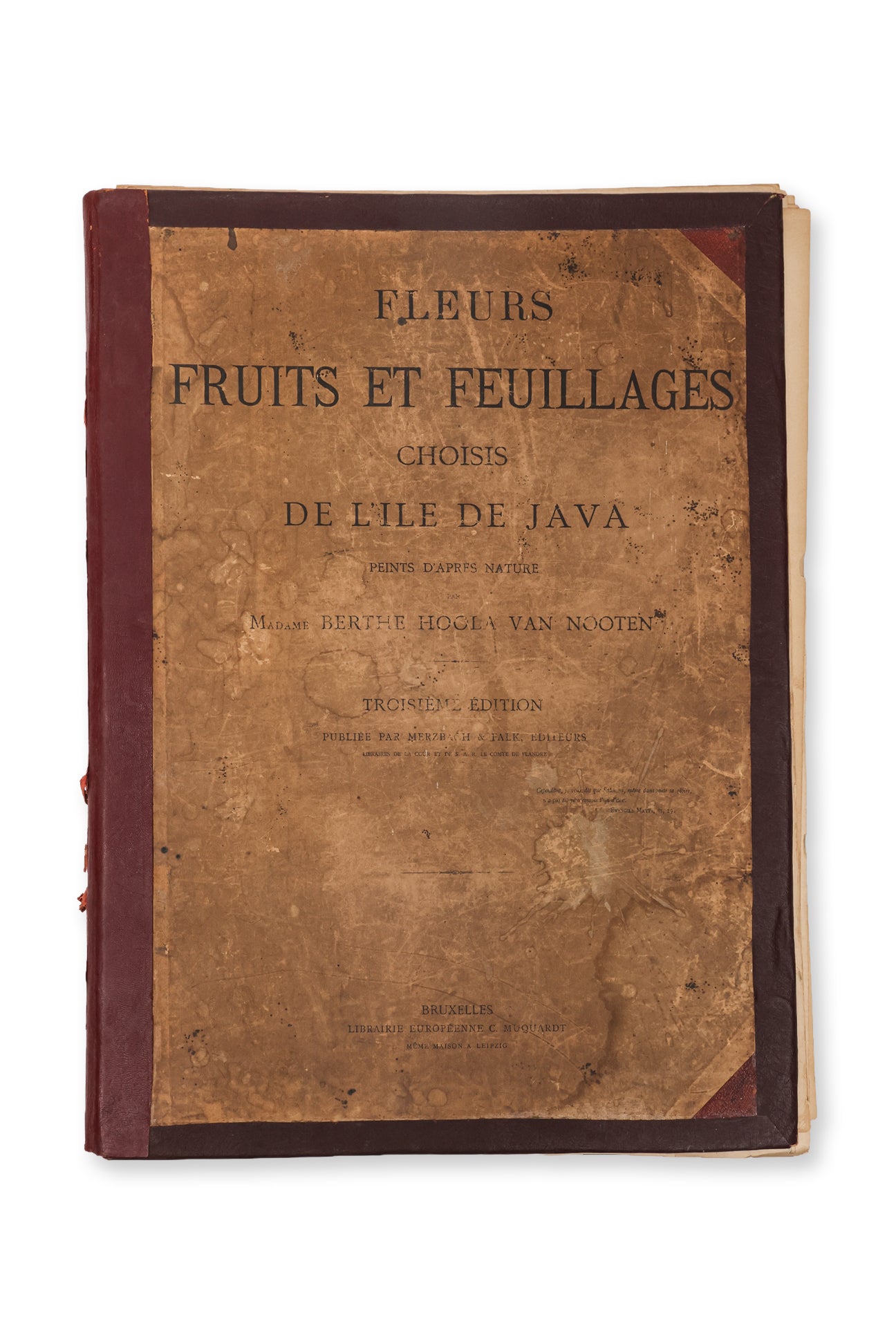 FLEURS, FRUITS ET FEUILLAGES CHOISIS DE L'ILE DE JAVA, BERTHE HOOLA VAN NOOTEN, C. 1880