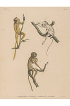 A GROUP OF FIVE STUDIES OF ANIMALS, WILLEM JOHANNES GORDON, 1839-47