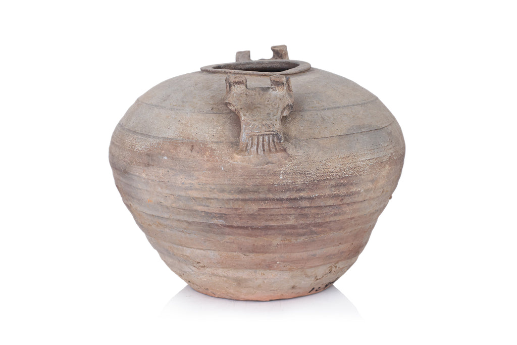 A TWIN HANDLED EARTHENWARE JAR