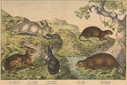 A GROUP OF SIX STUDIES OF ANIMALS, JAKOB FERDINAND SCHREIBER, C. 1886