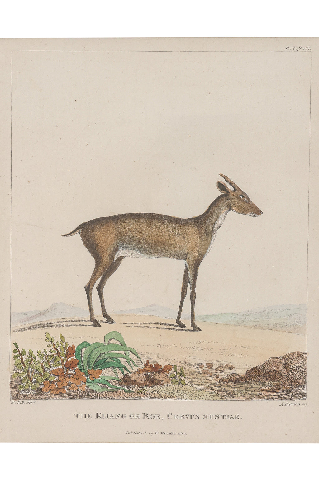 A GROUP OF FOUR STUDIES OF ANIMALS, WILLIAN MARSDEN, 1813