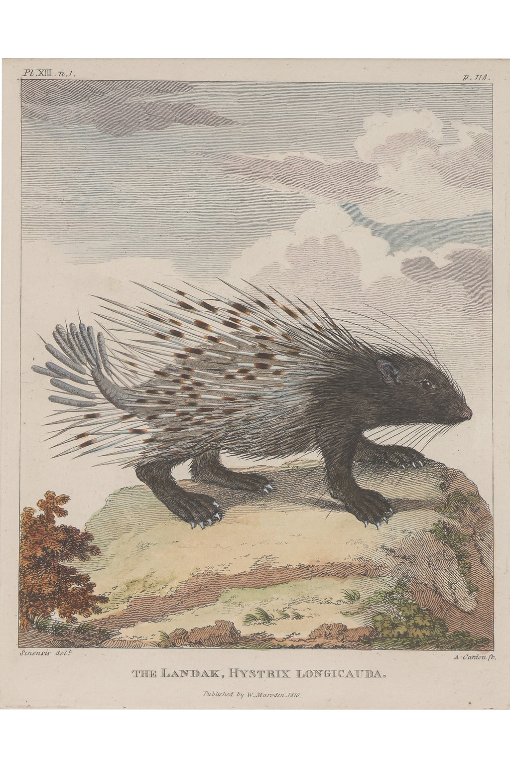 A GROUP OF FOUR STUDIES OF ANIMALS, WILLIAN MARSDEN, 1813