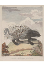 A GROUP OF FOUR STUDIES OF ANIMALS, WILLIAN MARSDEN, 1813