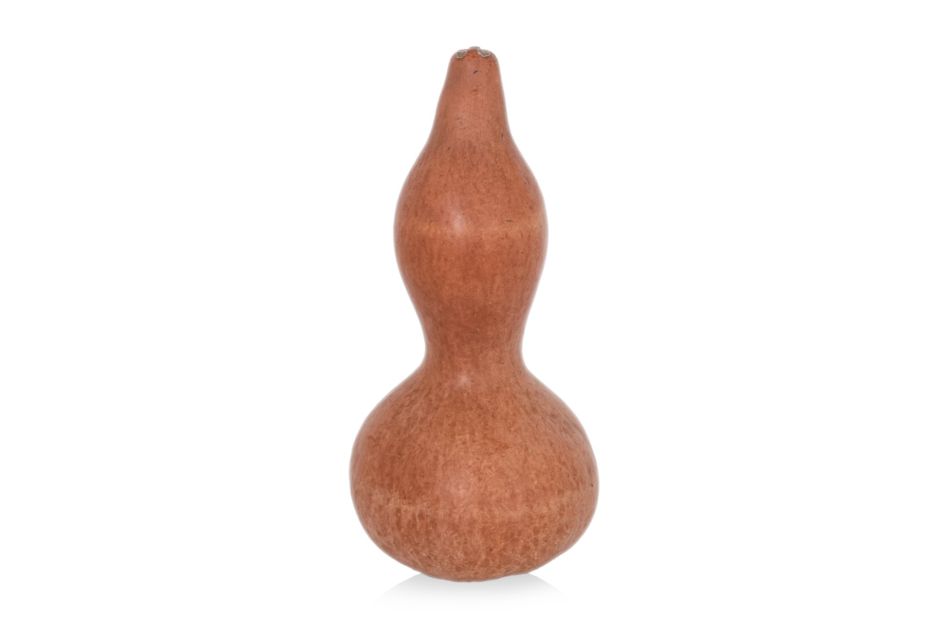 A LARGE DOUBLE GOURD