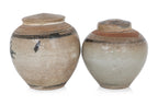 TWO BLUE AND WHITE JARS AND COVERS