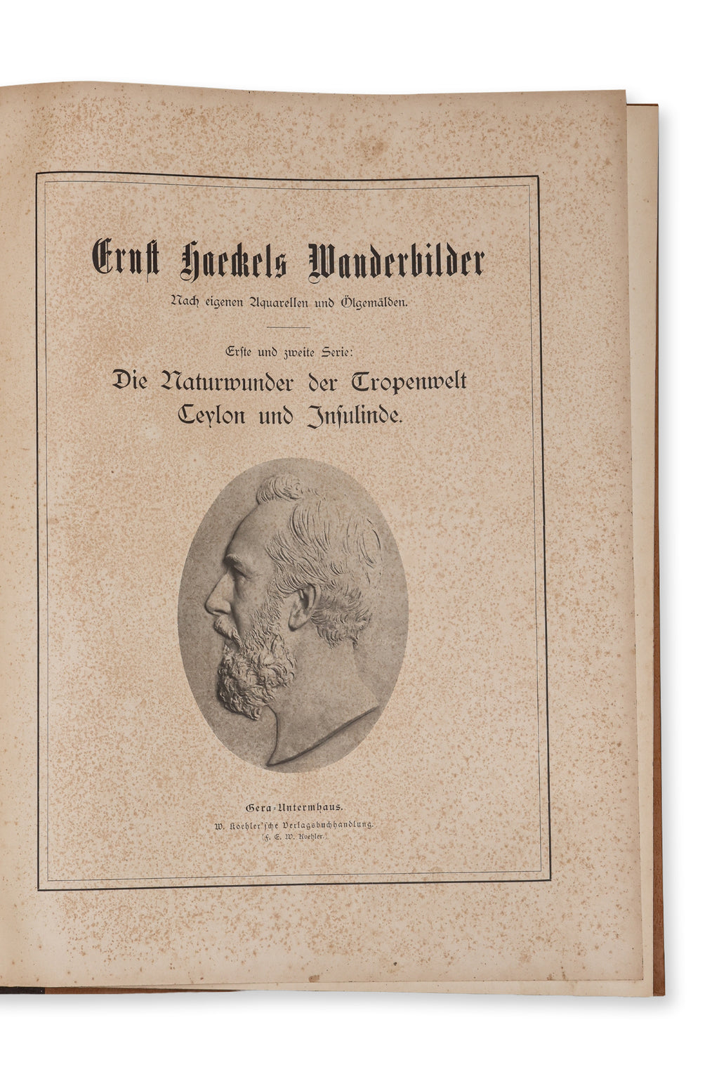 ERNST HAECKELS WANDERBILDER. NACH EIGENEN AQUARELLEN UND OLGEMALDEN, 1905