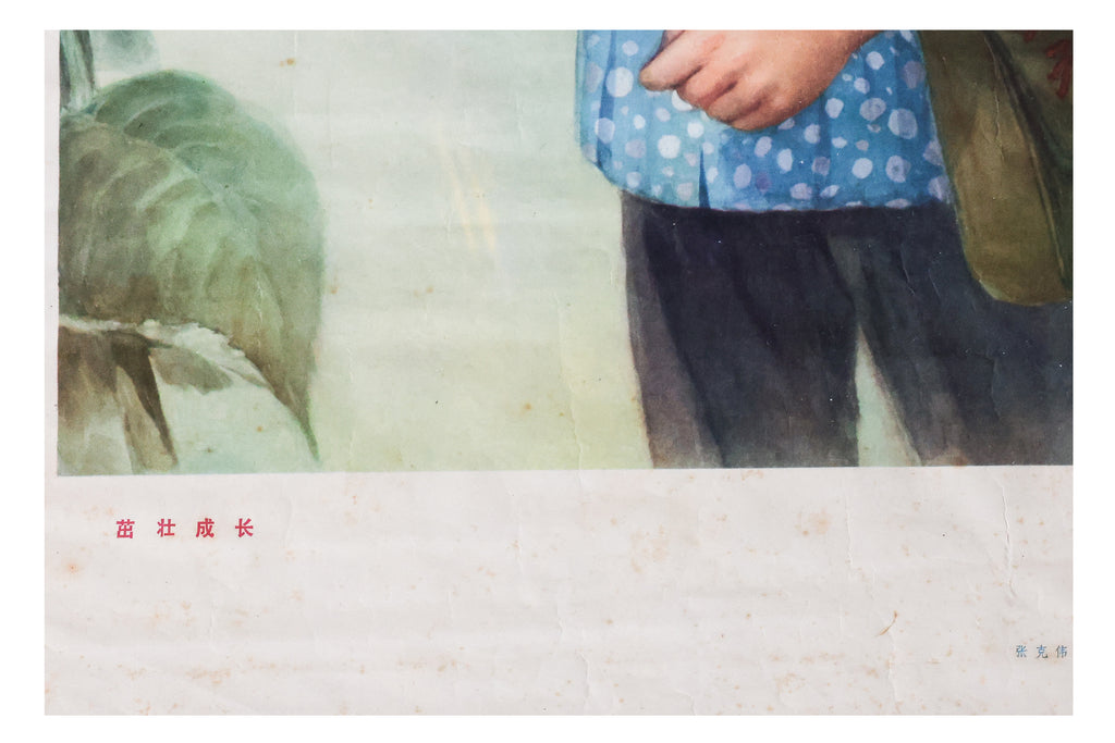 A CHINESE REVOLUTIONARY POSTER