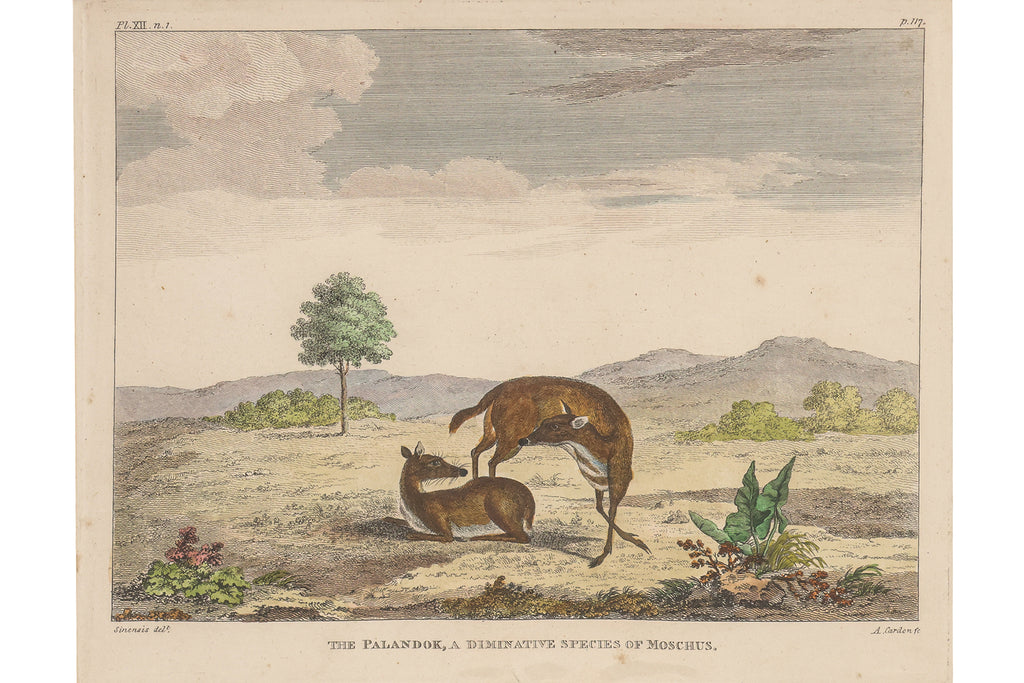 A GROUP OF FOUR STUDIES OF ANIMALS, WILLIAN MARSDEN, 1813