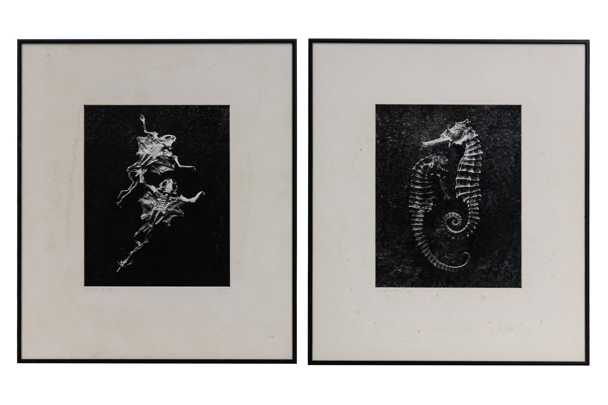 TWO FRAMED PHOTOGRAPHIC PRINTS BY KEN SEET